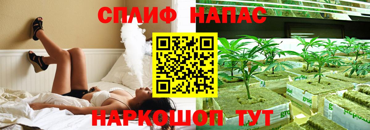 Канабис OG Kush Новочеркасск